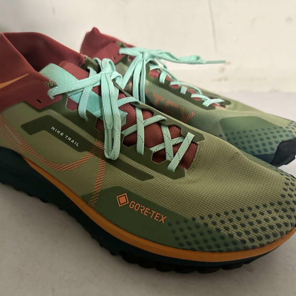 Nike Pegasus Trail 4 Gore-Tex - Men's Size 12.5 US - Great/Like New condition